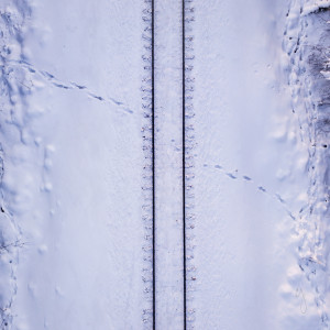 TRACKS