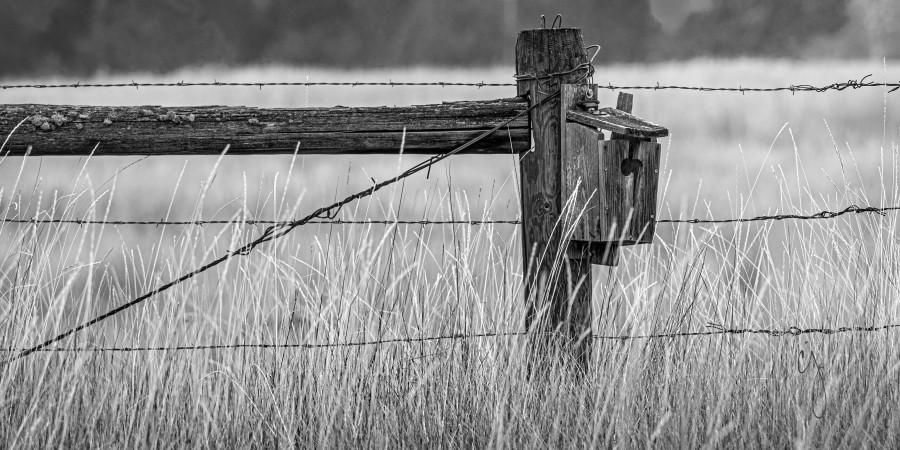 FOWL ABODE - light sepia