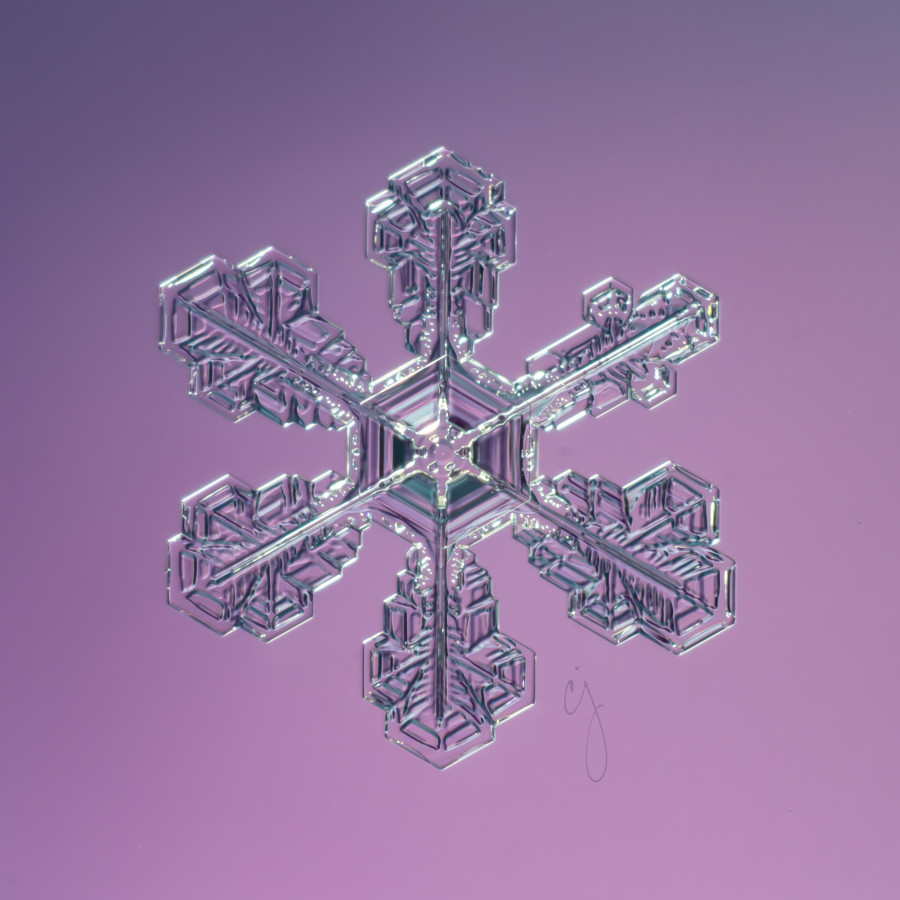 TAMARA - Snowcrystal
